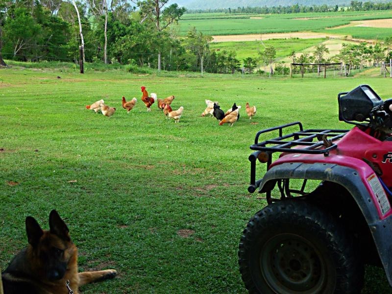 192 Mullins Road, Jarra Creek QLD 4854