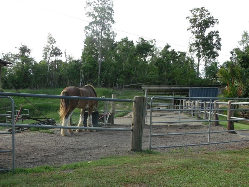 192 Mullins Road, Jarra Creek QLD 4854