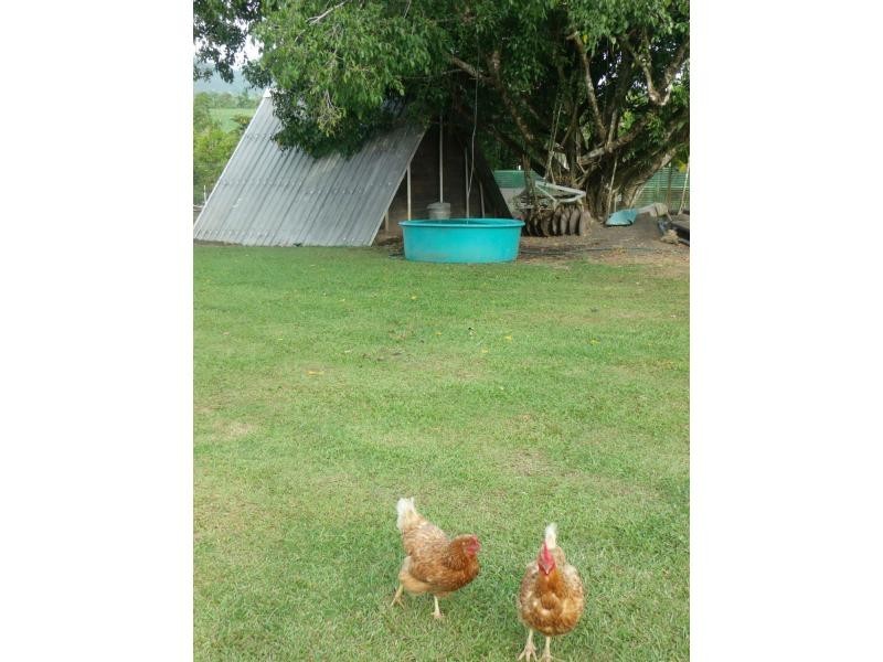 192 Mullins Road, Jarra Creek QLD 4854