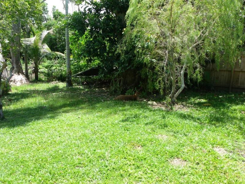 3/15 Seafarer Street, South Mission Beach QLD 4852