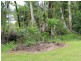 80 Paradise Palm Drive, Tully Heads QLD 4854