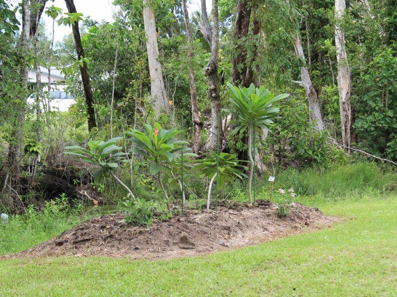 80 Paradise Palm Drive, Tully Heads QLD 4854