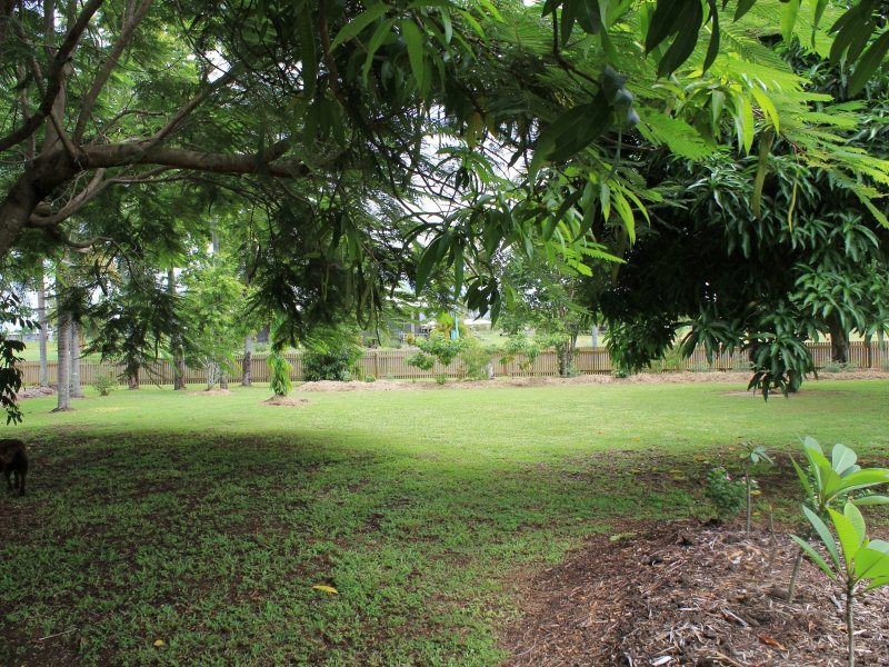 80 Paradise Palm Drive, Tully Heads QLD 4854