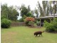 80 Paradise Palm Drive, Tully Heads QLD 4854