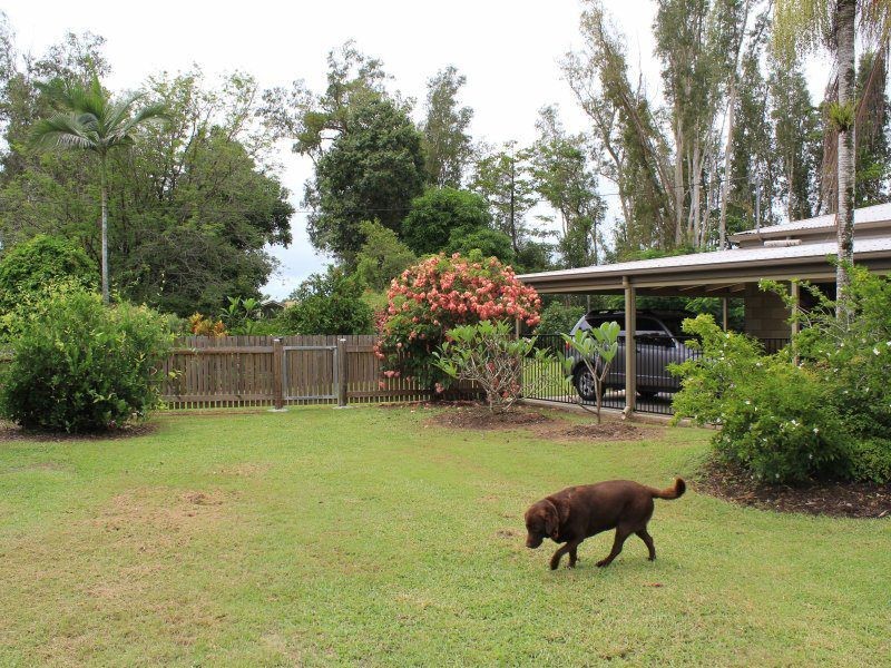 80 Paradise Palm Drive, Tully Heads QLD 4854