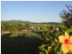 41 Stuart Drive, Feluga QLD 4854