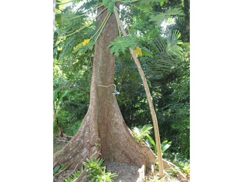 5 Bicton Close, Bingil Bay QLD 4852