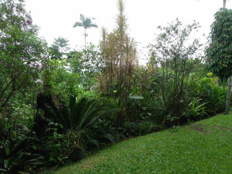 26 Hyatt Street, Tully QLD 4854