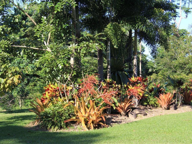 1349a El Arish Mission Beach Road, Mission Beach QLD 4852