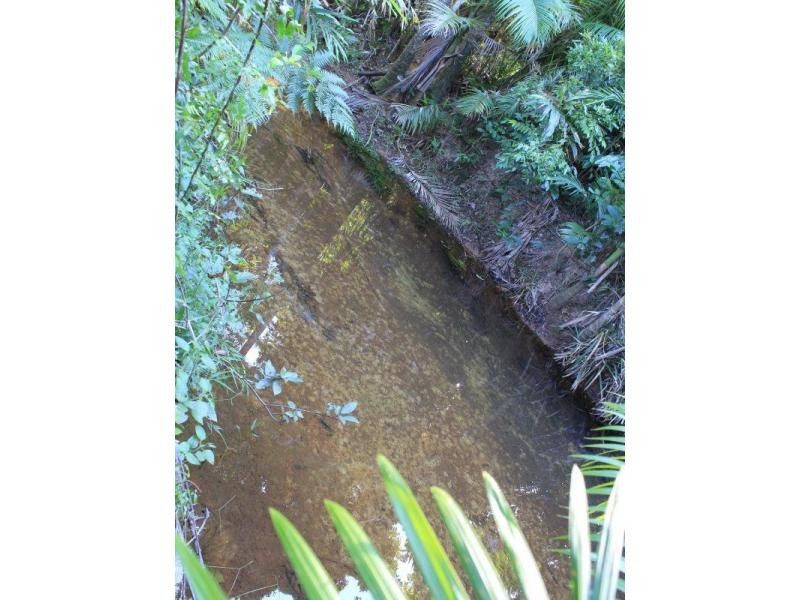 1349a El Arish Mission Beach Road, Mission Beach QLD 4852