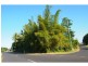 27 Japoon Road, Silkwood QLD 4856