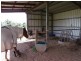 506 Bingil Bay Road, Bingil Bay QLD 4852