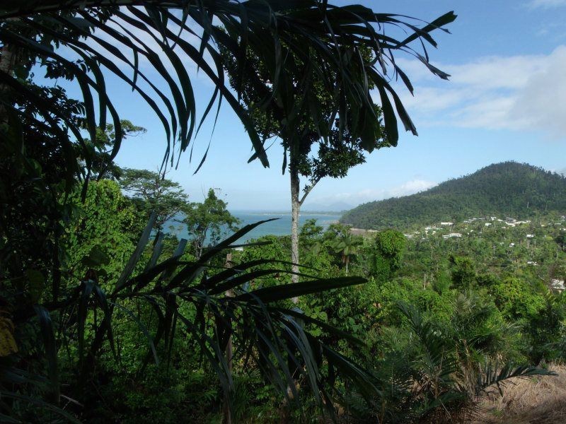 Lot 3 Plantation Drive, Bingil Bay QLD 4852