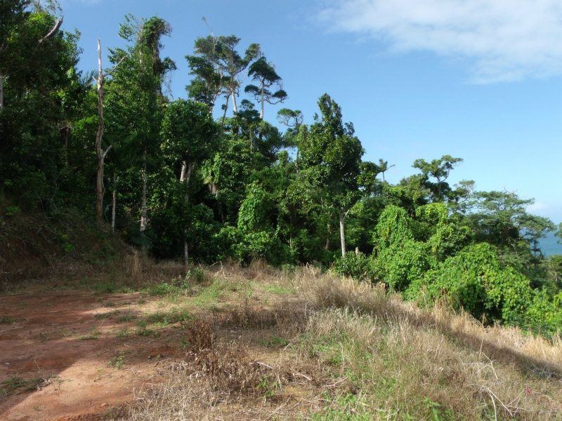 Lot 3 Plantation Drive, Bingil Bay QLD 4852