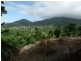 Lot 3 Plantation Drive, Bingil Bay QLD 4852