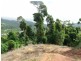Lot 3 Plantation Drive, Bingil Bay QLD 4852