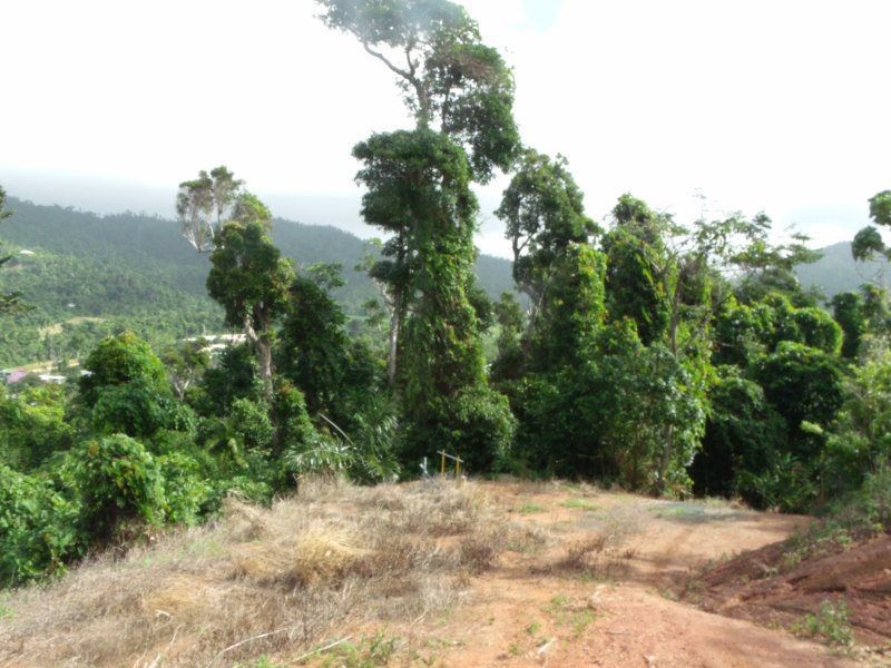 Lot 3 Plantation Drive, Bingil Bay QLD 4852