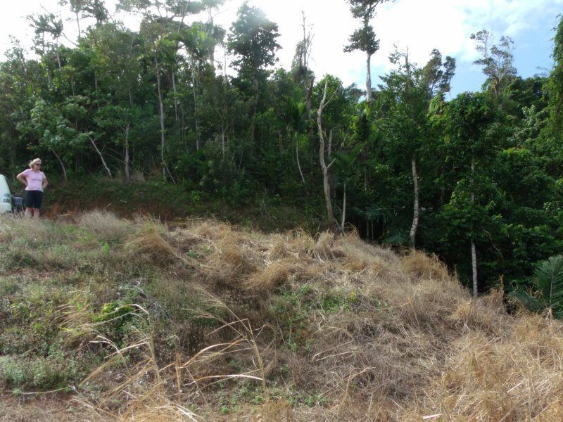 Lot 3 Plantation Drive, Bingil Bay QLD 4852