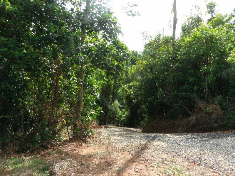 Lot 3 Plantation Drive, Bingil Bay QLD 4852