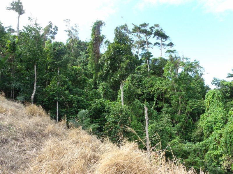 Lot 3 Plantation Drive, Bingil Bay QLD 4852