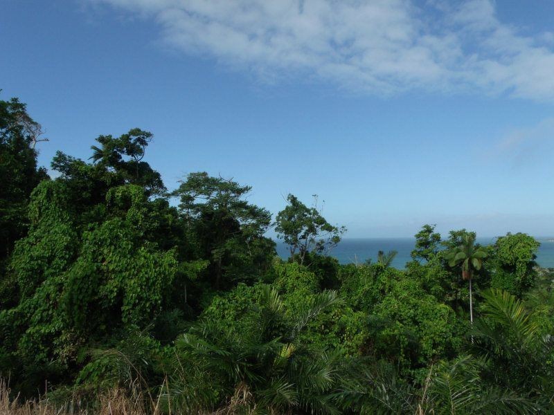 Lot 3 Plantation Drive, Bingil Bay QLD 4852