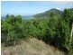 Lot 3 Plantation Drive, Bingil Bay QLD 4852