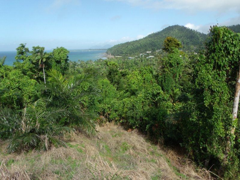 Lot 3 Plantation Drive, Bingil Bay QLD 4852