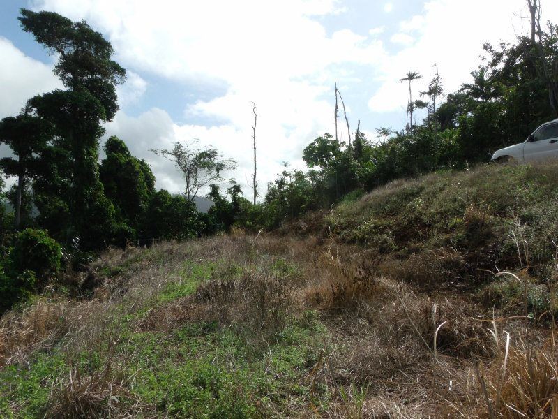 Lot 3 Plantation Drive, Bingil Bay QLD 4852