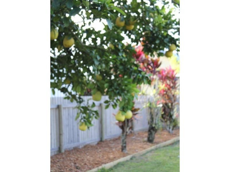33 Wilson Street, El Arish QLD 4855
