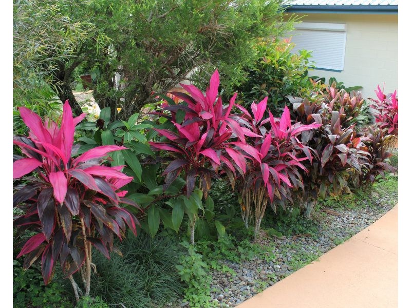 8 Dunkalli Crescent, Wongaling Beach QLD 4852