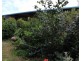 8 Dunkalli Crescent, Wongaling Beach QLD 4852