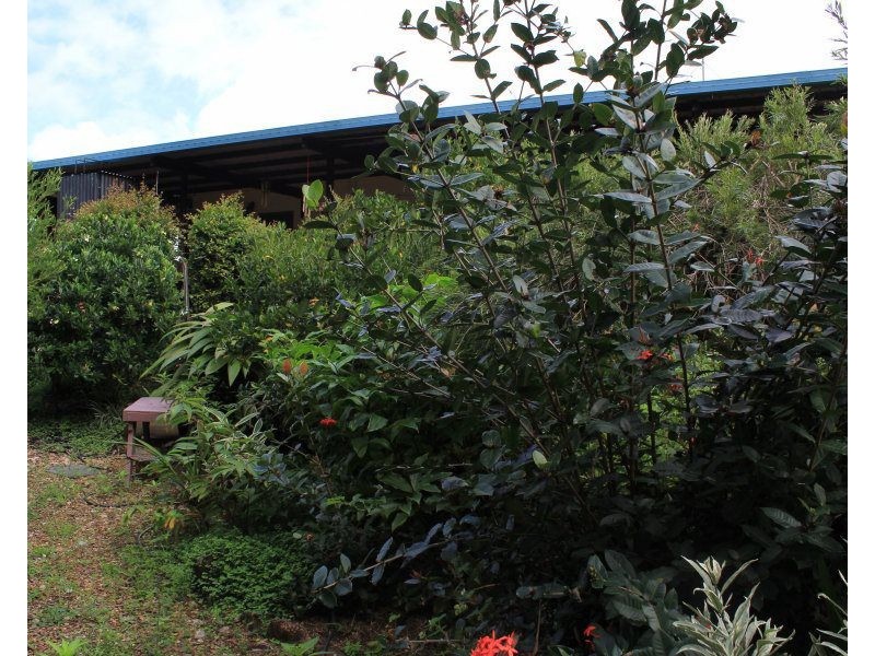 8 Dunkalli Crescent, Wongaling Beach QLD 4852