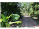 151 Lindsay Road, Carmoo QLD 4852