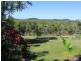 151 Lindsay Road, Carmoo QLD 4852