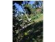 151 Lindsay Road, Carmoo QLD 4852
