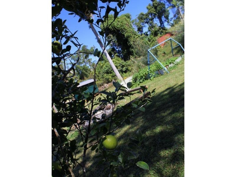 151 Lindsay Road, Carmoo QLD 4852