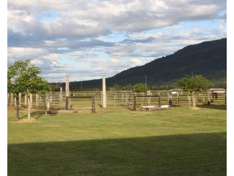 154 Old Tully Road, Tully QLD 4854