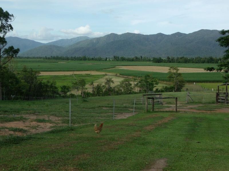 192 Mullins Road, Jarra Creek QLD 4854
