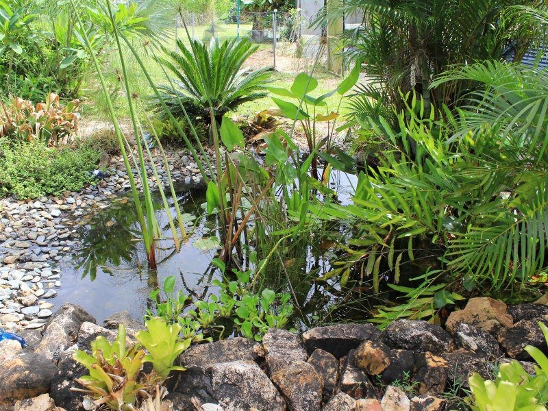 44 Dargin Road, Maria Creeks QLD 4855