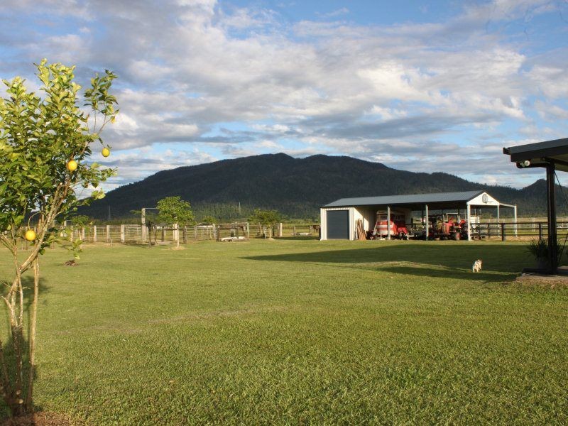 154 Old Tully Road, Tully QLD 4854