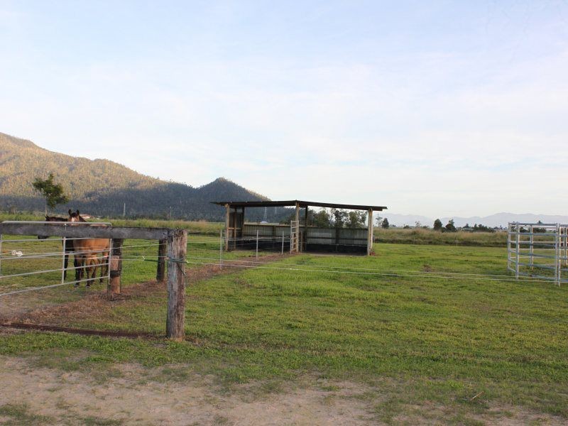 154 Old Tully Road, Tully QLD 4854