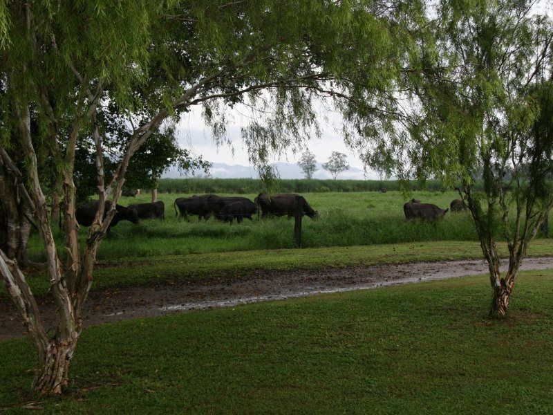 320 Bluff Road, Bilyana QLD 4854