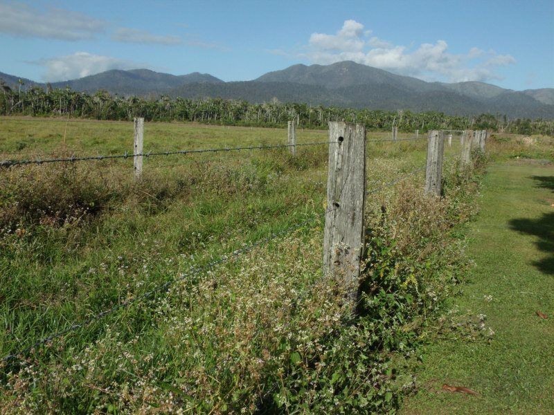 320 Bluff Road, Bilyana QLD 4854