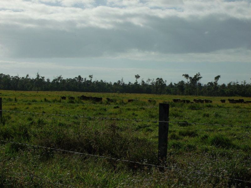 320 Bluff Road, Bilyana QLD 4854