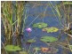 742 East Feluga Road, East Feluga QLD 4854