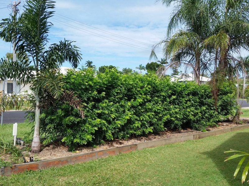 1/4 Hilliar Street, Wongaling Beach QLD 4852