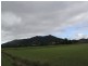 155 East Feluga Road, East Feluga QLD 4854
