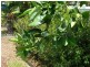 44 Seafarer Street, South Mission Beach QLD 4852