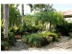 6 McNamara Street, Wongaling Beach QLD 4852