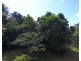 Lot 21 Plantation Drive, Bingil Bay QLD 4852